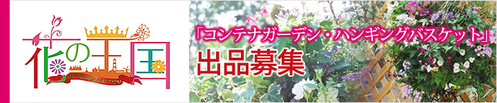 豪斯登堡集装箱花园吊篮展览申请指南
